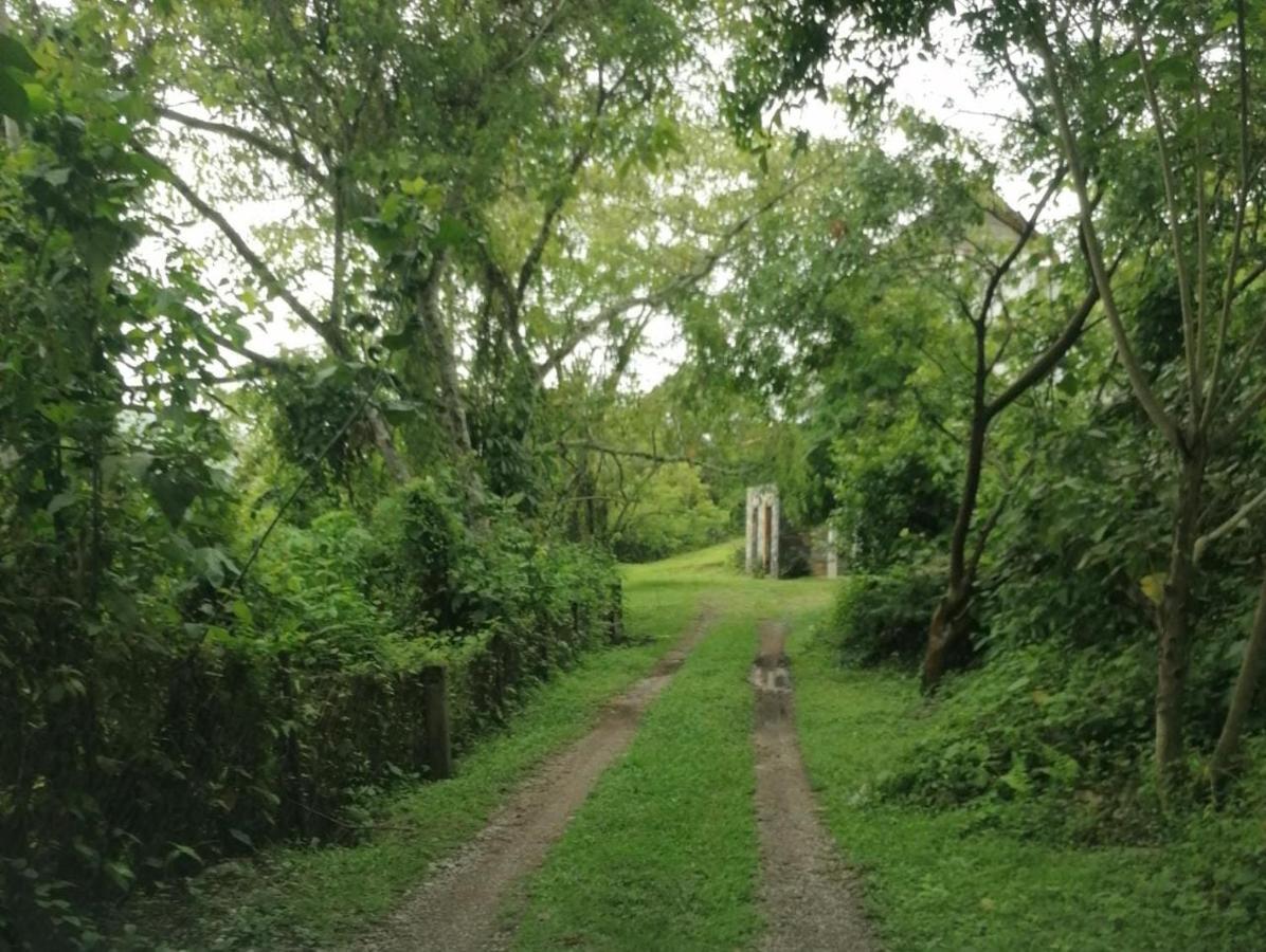 Casa Camino A Las Pozas Ксилитла Екстериор снимка