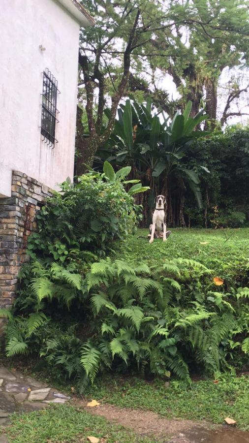 Casa Camino A Las Pozas Ксилитла Екстериор снимка